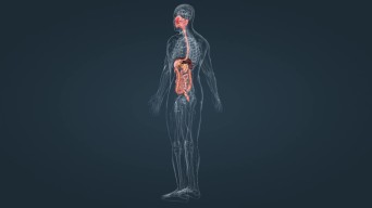 医学人体器官消化系统三维动画视频素材