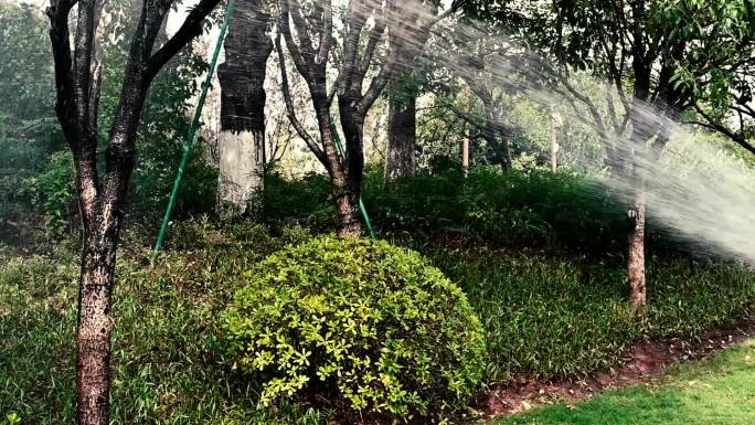 园林工人浇水养护花草迎接国庆实拍视频