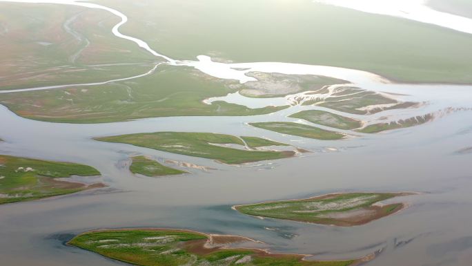 鄱阳湖湿地生命之树景观