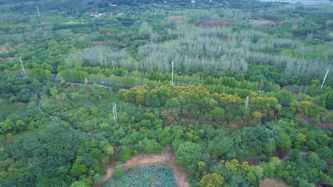 合肥大蜀山森林公园航拍空镜