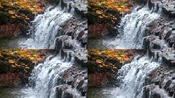 秋季黄叶流水瀑布慢门写意