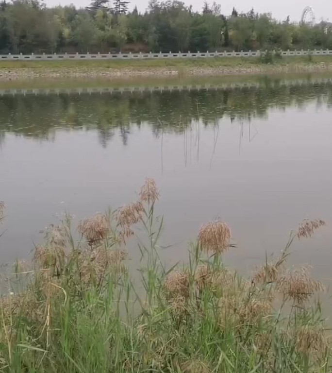 雨天湖面