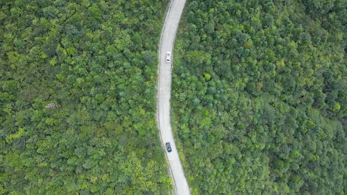 航拍汽车行驶在原始森林