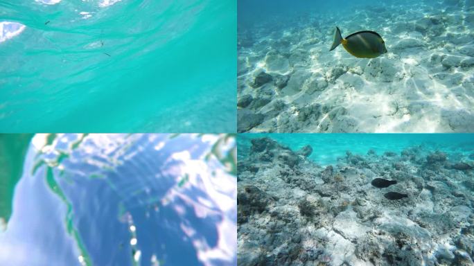 海底世界水下光影高清视频素材