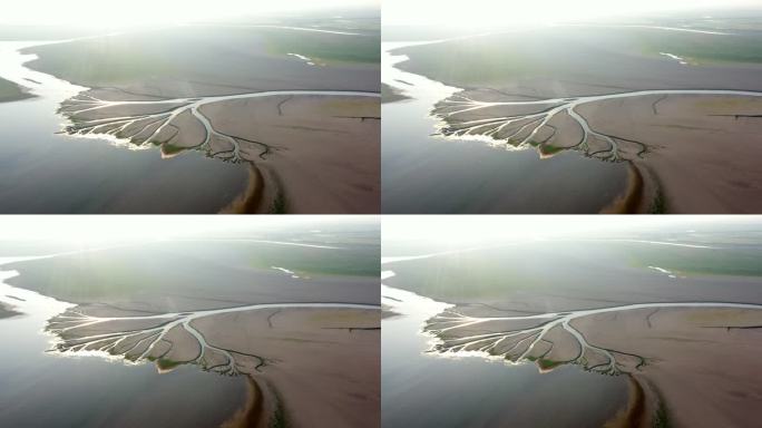 鄱阳湖湿地生命之树景观