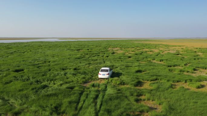 汽车行驶在鄱阳湖枯水期草原