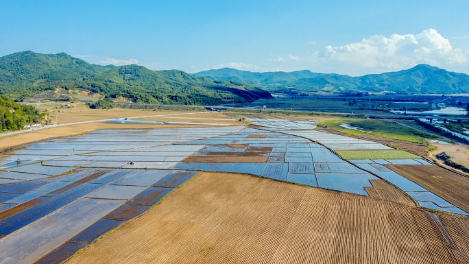 稻田 四季变换 国家地理 美丽中国