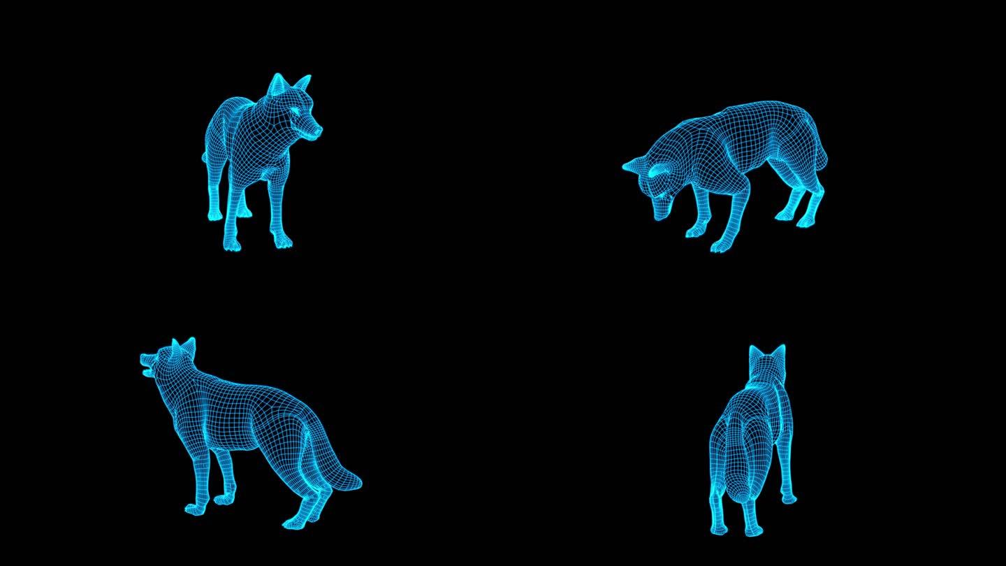 蓝色全息投影线框狼动画素材带通道