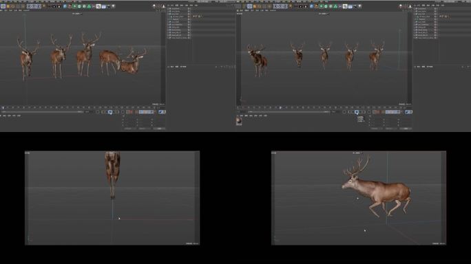 鹿走路小跑奔跑吃草趴下休息动画fbx