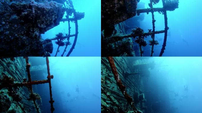 被珊瑚礁和热带鱼包围的著名沉船。红海潜水景点详情