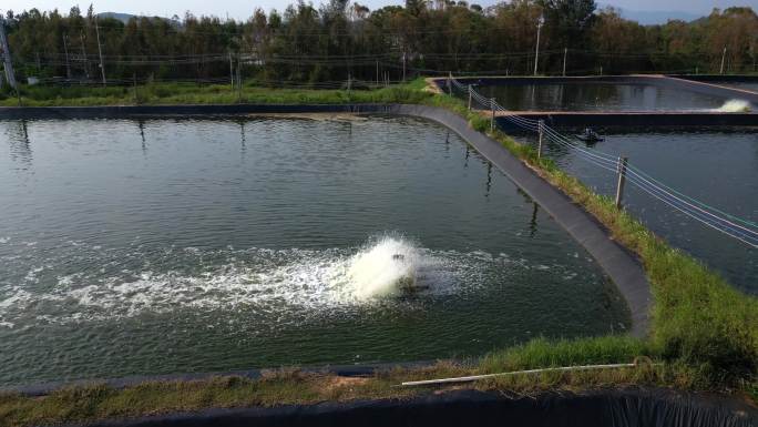 打氧机增氧泵水产养殖场