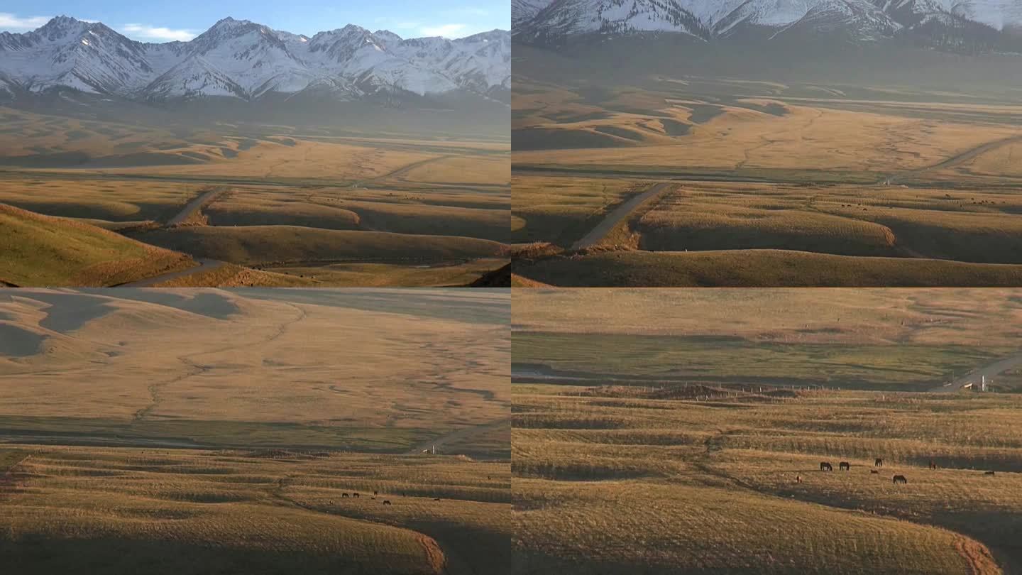 远眺晚秋夕照那拉提雪山空中草原