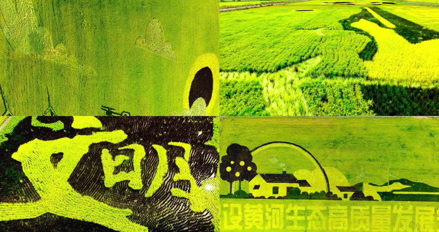 稻田风格旅游5K视频素材