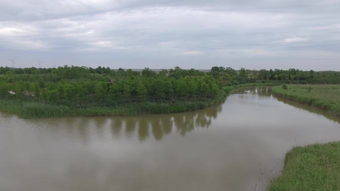 上海崇明东滩湿地公园