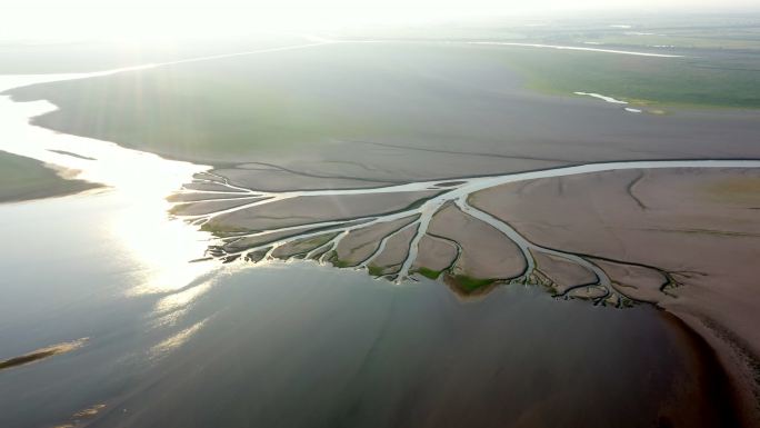 鄱阳湖湿地生命之树景观