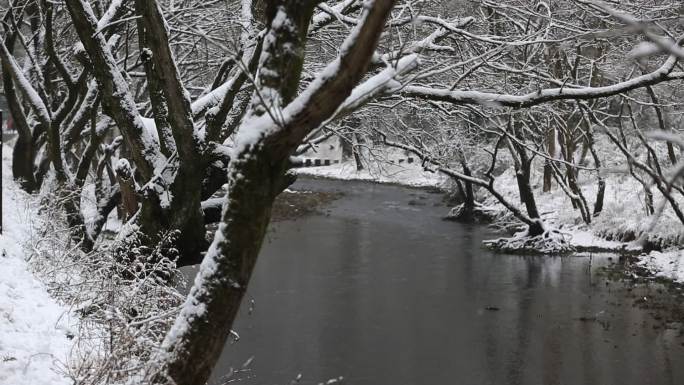 江南浙江绍兴诸暨五泄冬天雪景溪水树木积雪