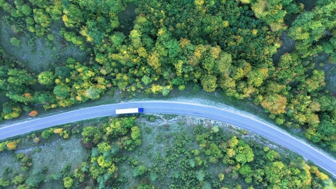 卡车卡车穿过树林
