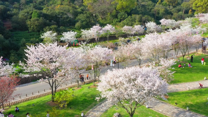 高清江苏无锡太湖国家旅游度假景区