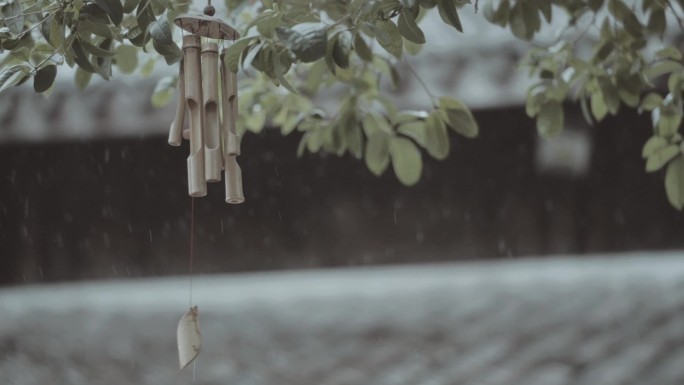 雨天竹风铃