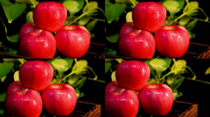 苹果水果黑色背景影棚拍摄C