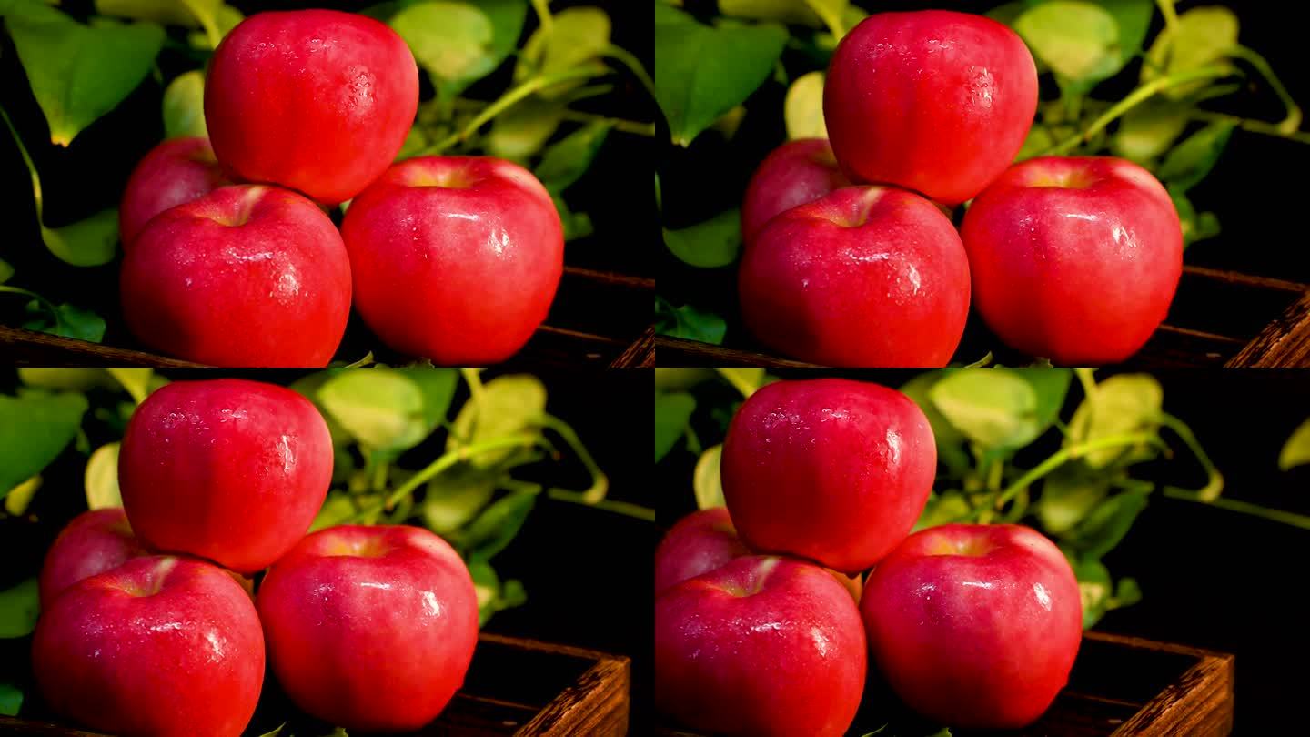 苹果水果黑色背景影棚拍摄C