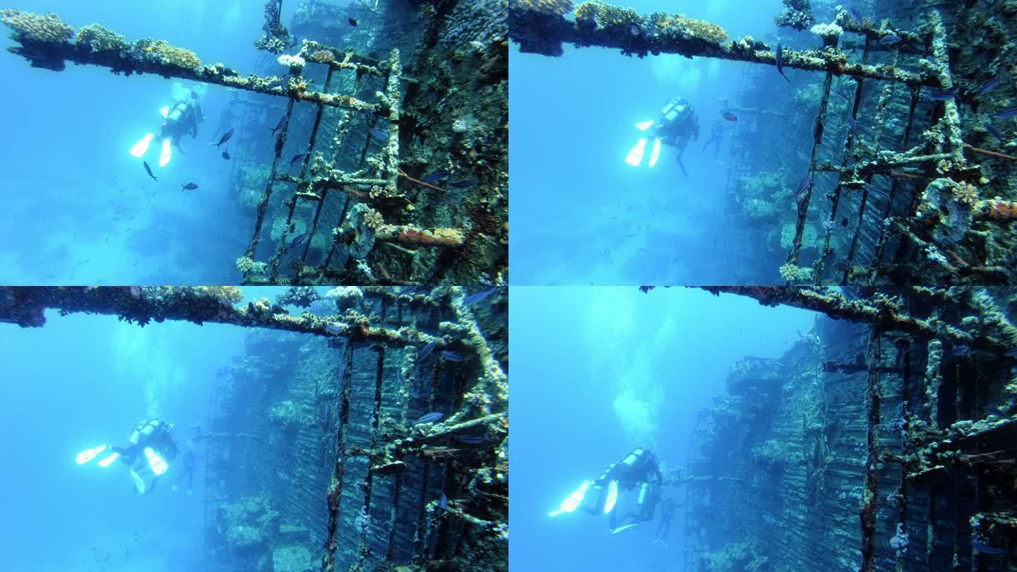 潜水员正在探索红海著名的潜水点。驶过塞勒姆快车，船残骸被珊瑚礁和热带鱼包围