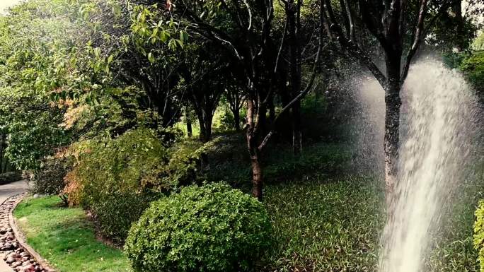 园林工人浇水养护花草迎国庆实拍视频
