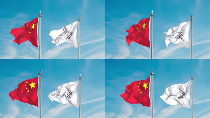 中国- 世界贸易组织旗_1