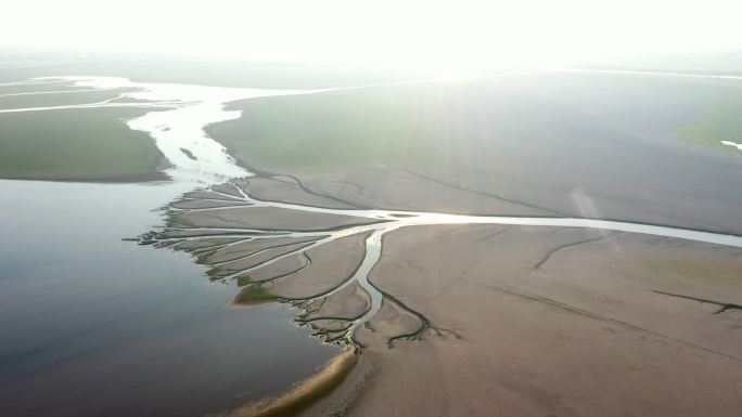 鄱阳湖湿地生命之树景观