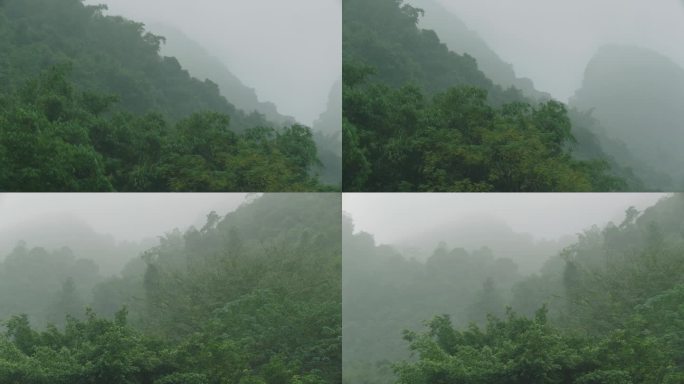 鹿峰山热带原始森林