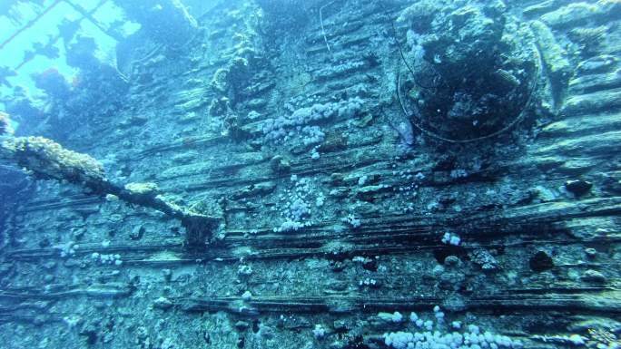 探索红海著名的潜水点。塞勒姆快船失事甲板