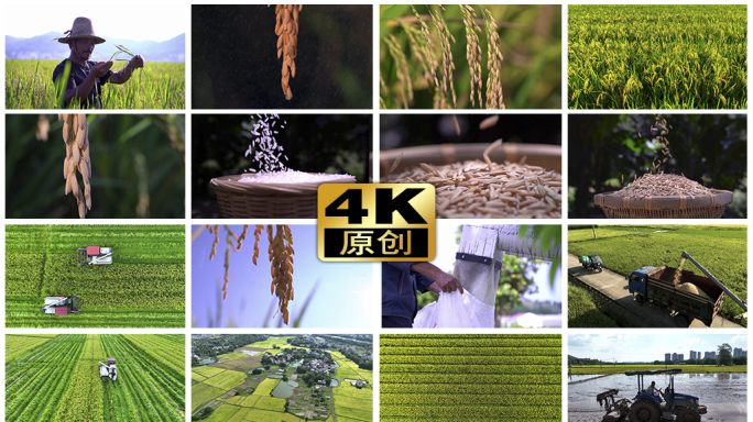 万亩水稻现代化农业《56组精美镜头》