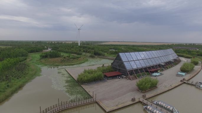 上海崇明东滩湿地公园