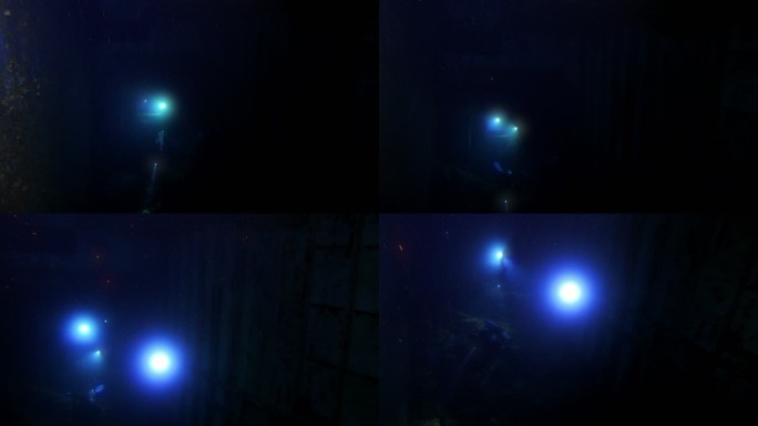 探索红海著名的潜水点。通过塞勒姆快运船失事