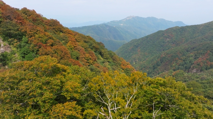 唯美秋景