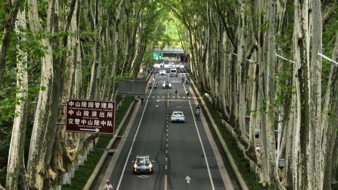 清晨日出阳光下的南京中山陵陵园路