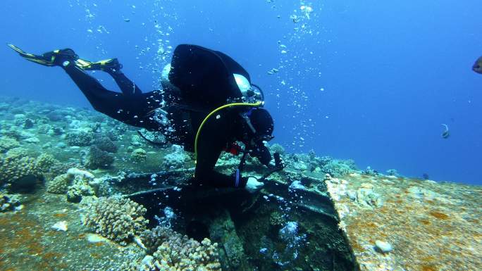 探索红海著名的潜水点。潜水员们正沉入塞勒姆快船失事