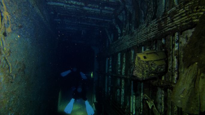 探索红海著名的潜水点。通过塞勒姆快运船失事