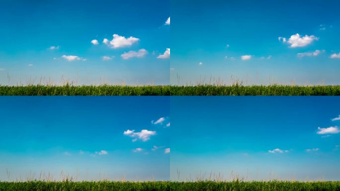 蓝天白云与草地延时摄影