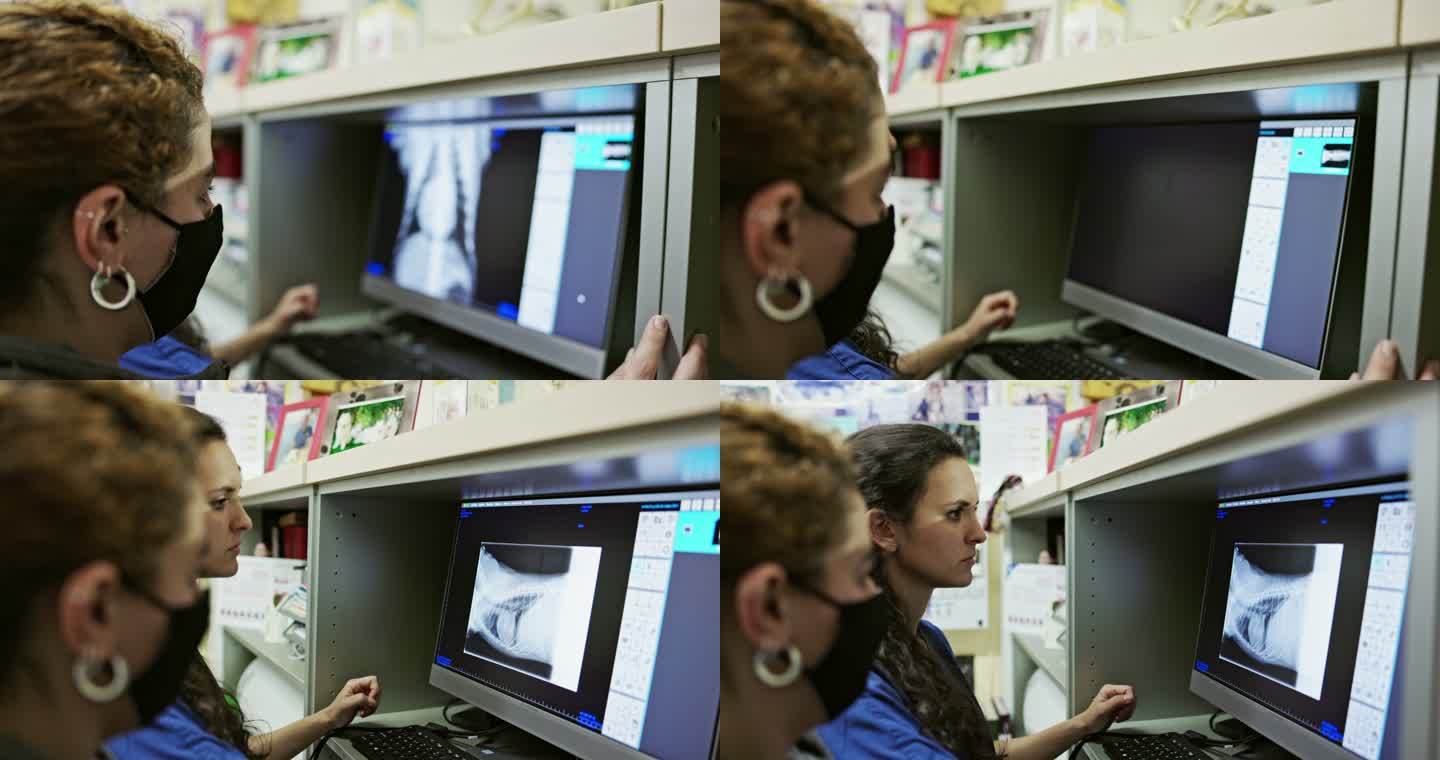 动物医院女性技术人员分析射线照片