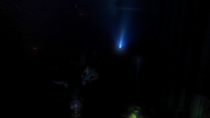 探索红海著名的潜水点。潜水员正在驶入塞勒姆特快船失事。手电筒在黑暗的船内反射