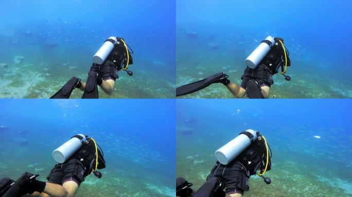 一名男子在海洋中潜水的4k视频片段