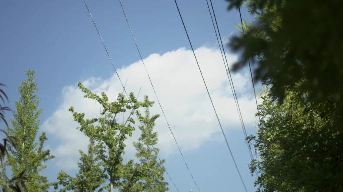 4K夏秋空镜,可加速成延时摄影，画质佳