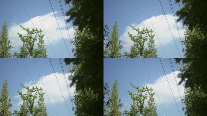 4K夏秋空镜,可加速成延时摄影，画质佳