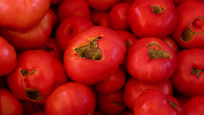 番茄 西红柿 畸形果 裂果
