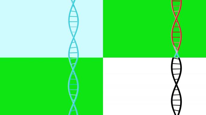 修复感染损伤的DNA