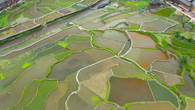 梯田 航拍梯田 田野 田间地头 振兴乡村