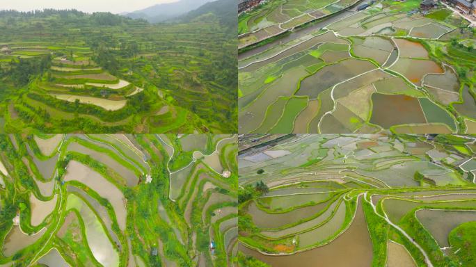 梯田 航拍梯田 田野 田间地头 振兴乡村