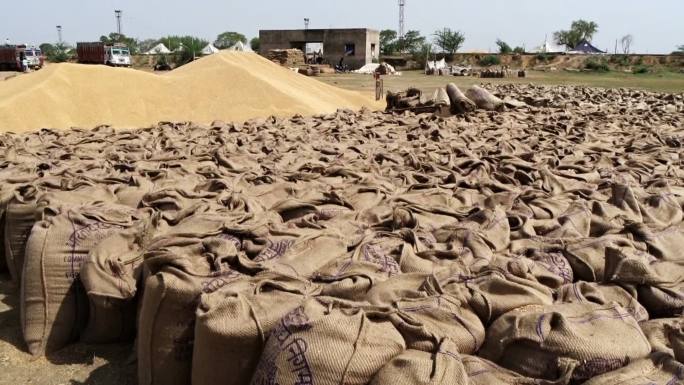 粮食市场一袋袋的麦子摆放整齐收成农产品收
