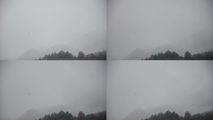 秋雨迷雾中的重庆北碚缙云山一隅的风景